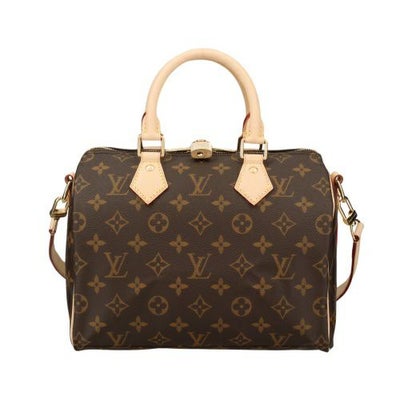 LOUIS VUITTON ルイヴィトン ハンドバッグ ダミエ・エベヌ スピーディ 