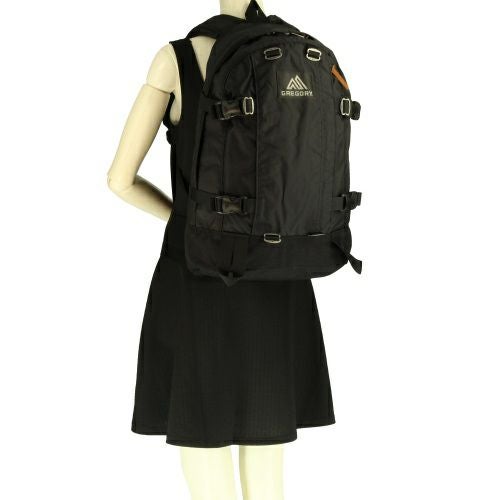 グレゴリー リュックサック バックパック メンズ レディース ブラック GREGORY 651691041 BLK