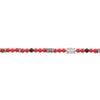 セリーヌ ネックレス メンズ SAN ONOFRE TRIOMPHE NECKLACE レッド CELINE 461OT 6OGB 27SR BLACK/RED/SILVER