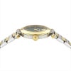 ヴェルサーチ 腕時計 レディース VERSACE GREEK ヴェルサーチェ グリーク VERSACE VE5B00525